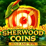 Bocoran RTP Slot Bng Sherwood Coins Hold & Win